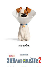 Μπάτε Σκύλοι Αλέστε 2 Poster